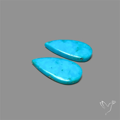 Campitos Mines Turquoise Pair
