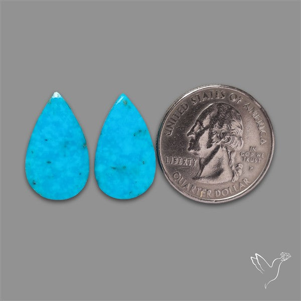 Campitos Mines Turquoise Pair