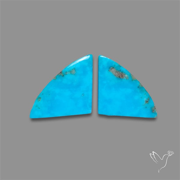 Campitos Mines Turquoise Pair