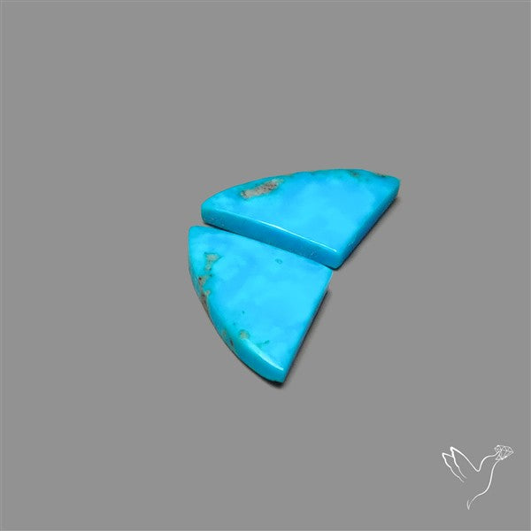 Campitos Mines Turquoise Pair
