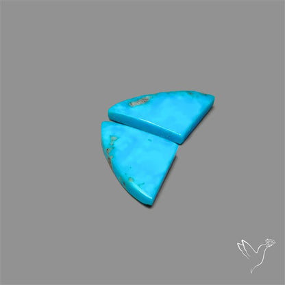 Campitos Mines Turquoise Pair
