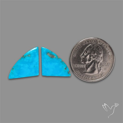 Campitos Mines Turquoise Pair