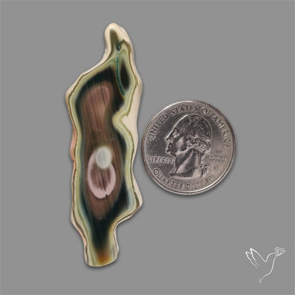 Selected Imperial Jasper Slice