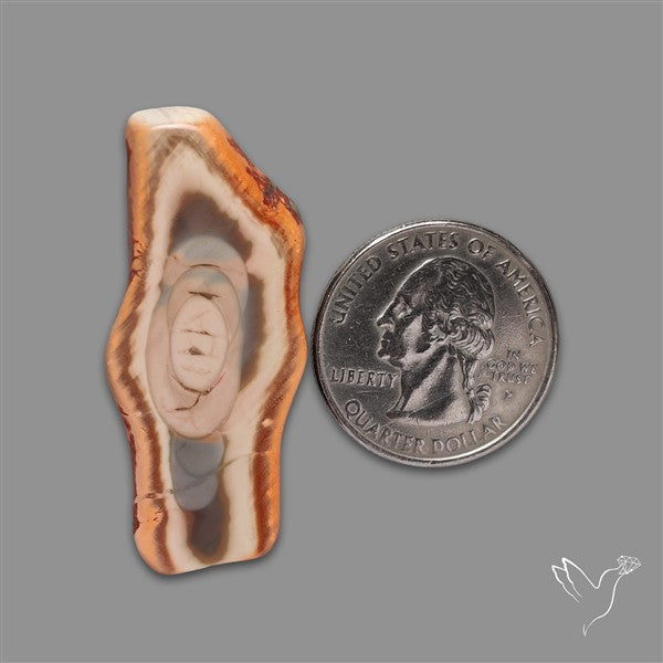 Selected Imperial Jasper Slice