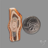 Selected Imperial Jasper Slice