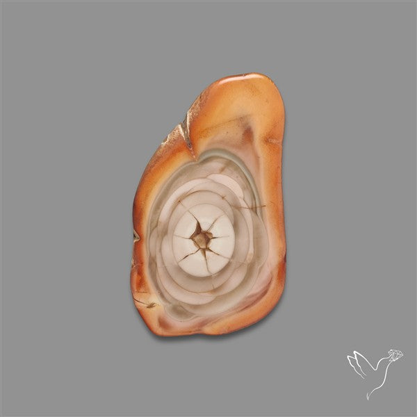 Selected Imperial Jasper Slice