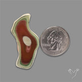 Selected Imperial Jasper Slice