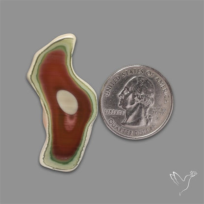 Selected Imperial Jasper Slice