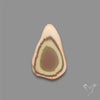 Selected Imperial Jasper Slice