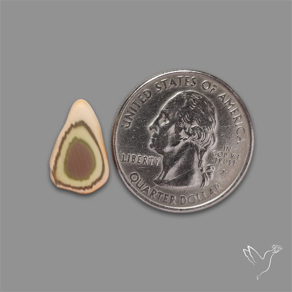 Selected Imperial Jasper Slice