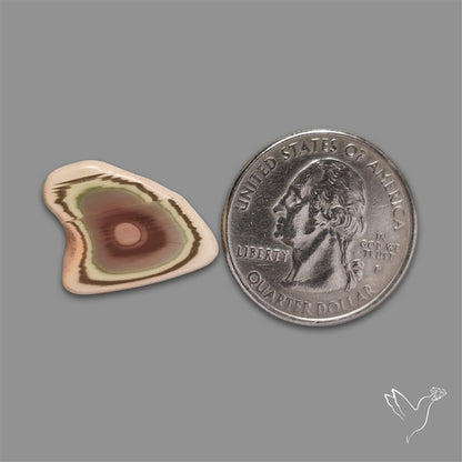 Selected Imperial Jasper Slice