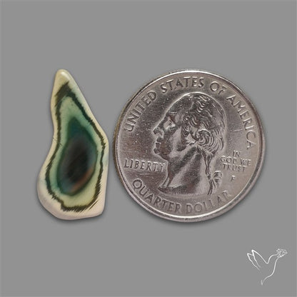 Selected Imperial Jasper Slice