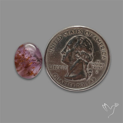 Cacoxenite Super Seven Amethyst Cabochon
