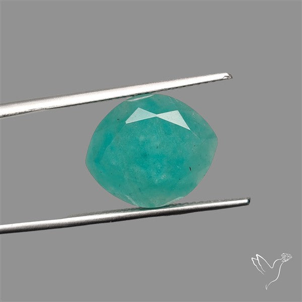 Portrait Cut Gemmy Peruvian Amazonite