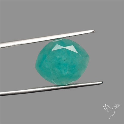 Portrait Cut Gemmy Peruvian Amazonite