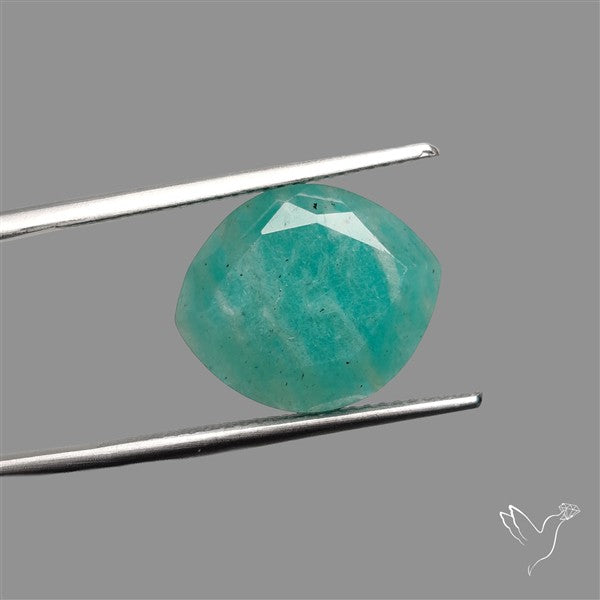 Portrait Cut Gemmy Peruvian Amazonite