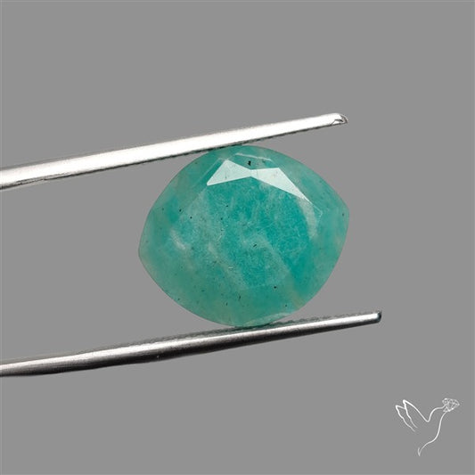 Portrait Cut Gemmy Peruvian Amazonite