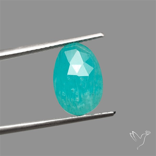 Rose Cut Gemmy Peruvian Amazonite