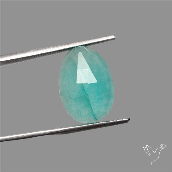 Rose Cut Gemmy Peruvian Amazonite