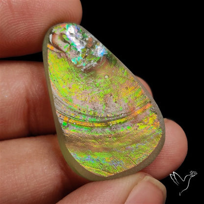 Rare Ancient Roman Glass Authentic