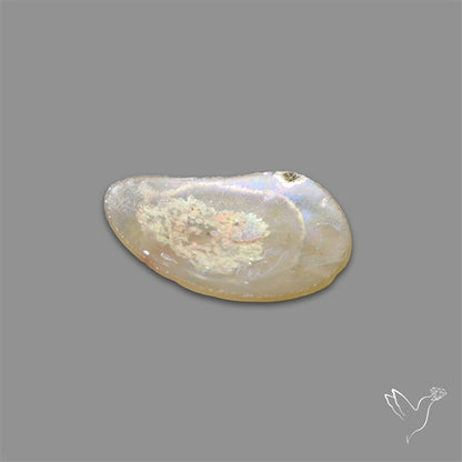 Rare Ancient Roman Glass Authentic