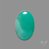 Gemmy Chrysoprase Cabochon
