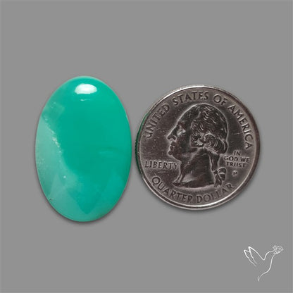 Gemmy Chrysoprase Cabochon
