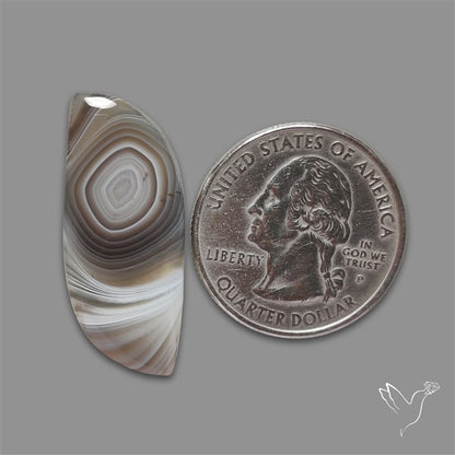Botswana Agate Cabochon