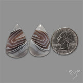Botswana Agate Pair