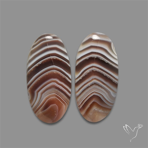 Botswana Agate Pair