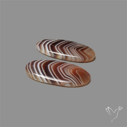 Botswana Agate Pair