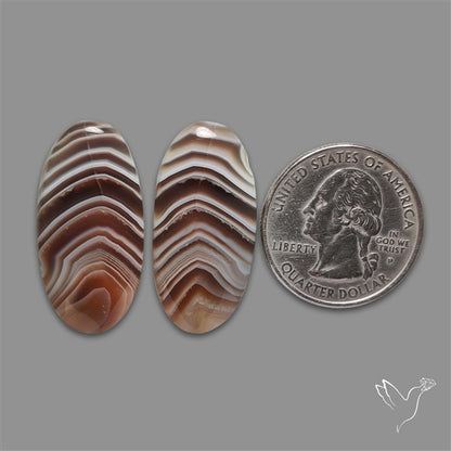 Botswana Agate Pair