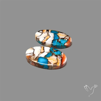 Spiny Oyster Mohave Turquoise Pair