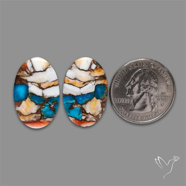 Spiny Oyster Mohave Turquoise Pair