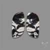 Tuxedo Agate Pair