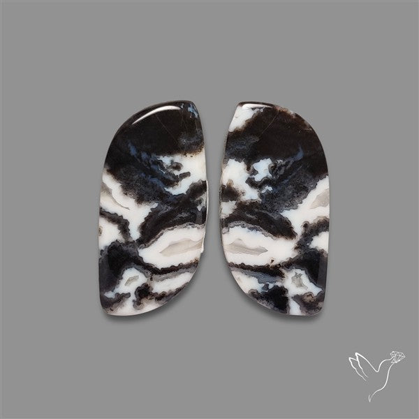 Tuxedo Agate Pair