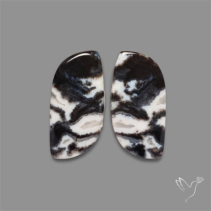 Tuxedo Agate Pair