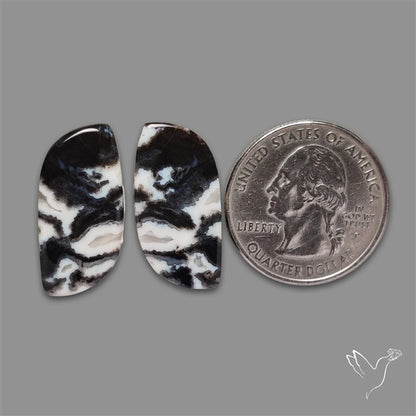 Tuxedo Agate Pair