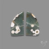 Orbicular Ocean Jasper Pair