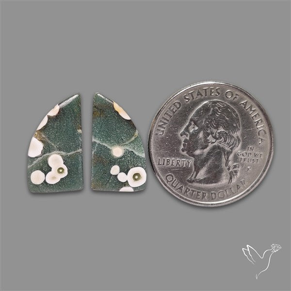 Orbicular Ocean Jasper Pair