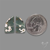 Orbicular Ocean Jasper Pair