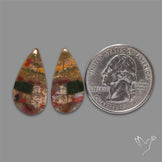 Bloodstone Pair