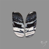 Tuxedo Agate Pair