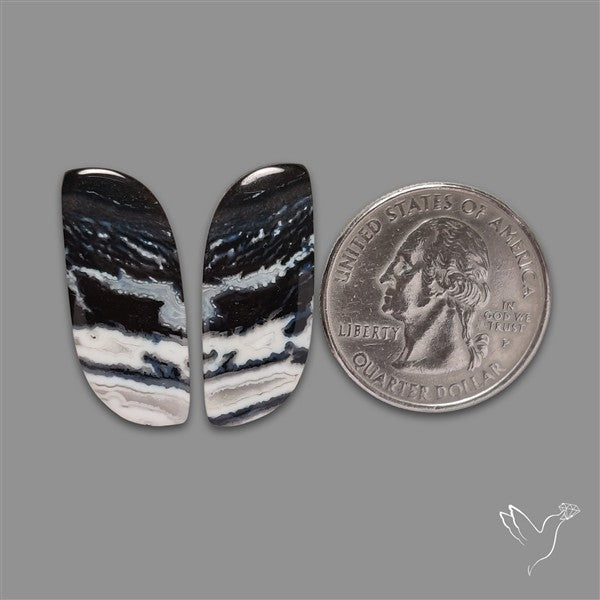 Tuxedo Agate Pair