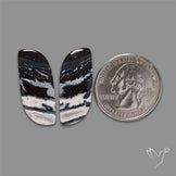Tuxedo Agate Pair