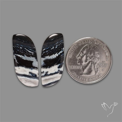 Tuxedo Agate Pair