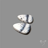 Dendritic Opal Pair