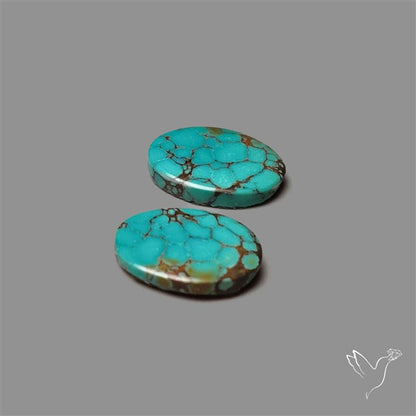 Hubei Turquoise Pair