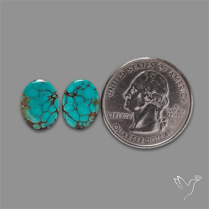 Hubei Turquoise Pair