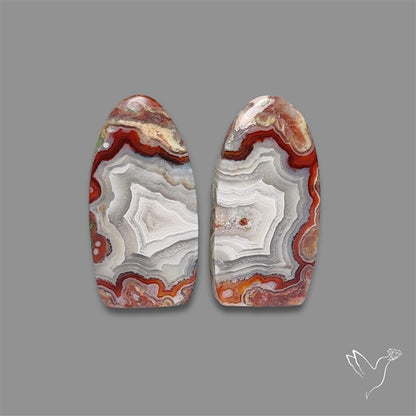 Crazylace Agate Pair